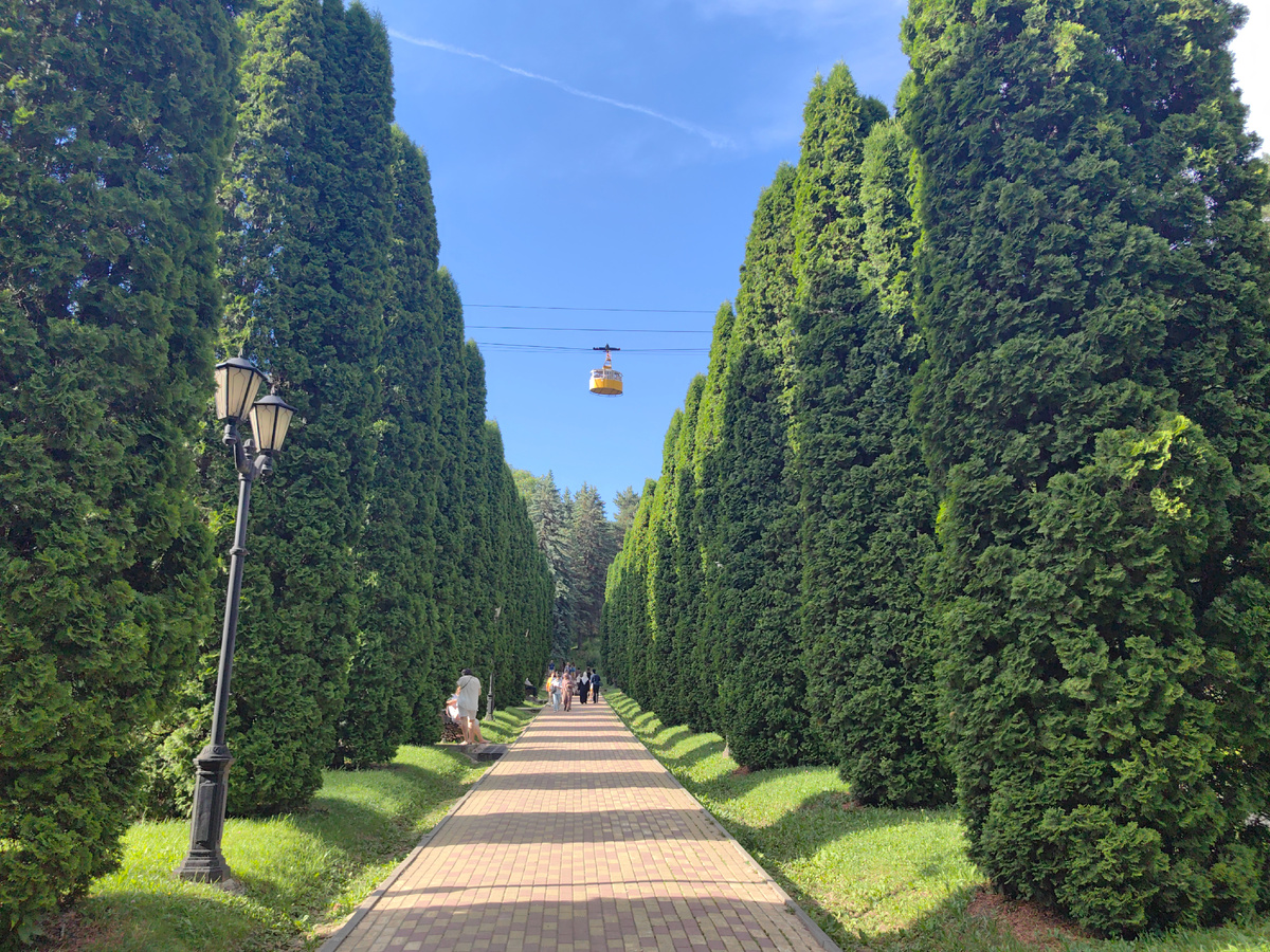 Просто немного летнего парка)