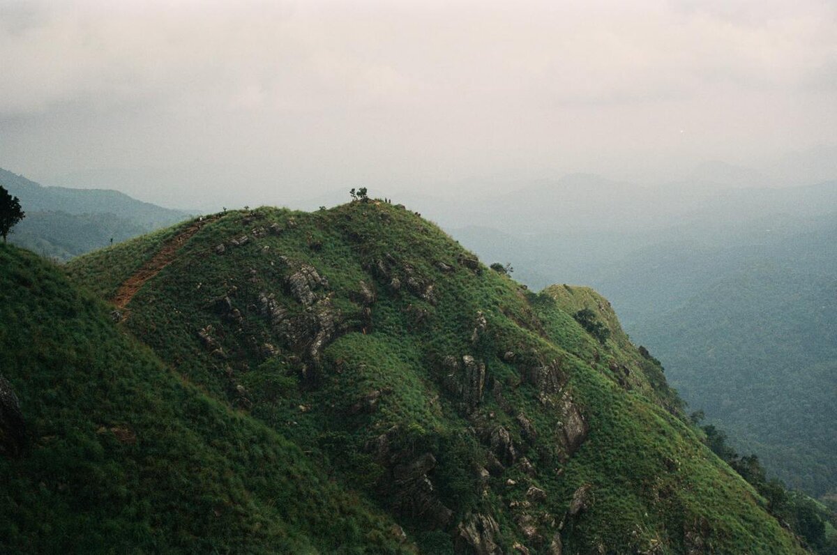 Вид с Сигирии