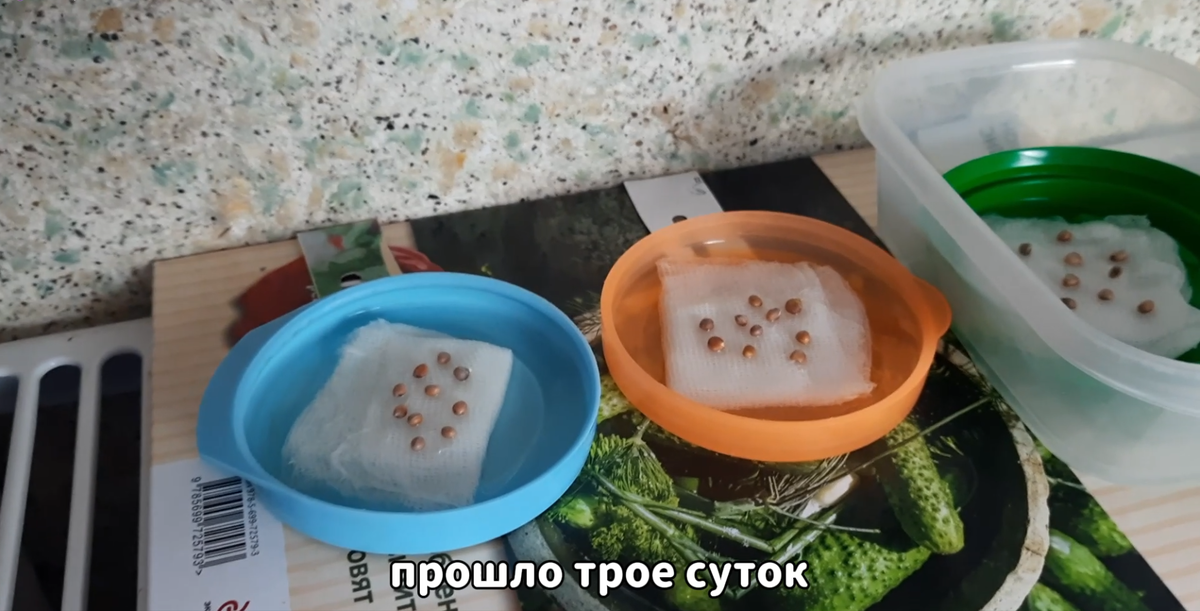 Скрин из подробного видео о посадке