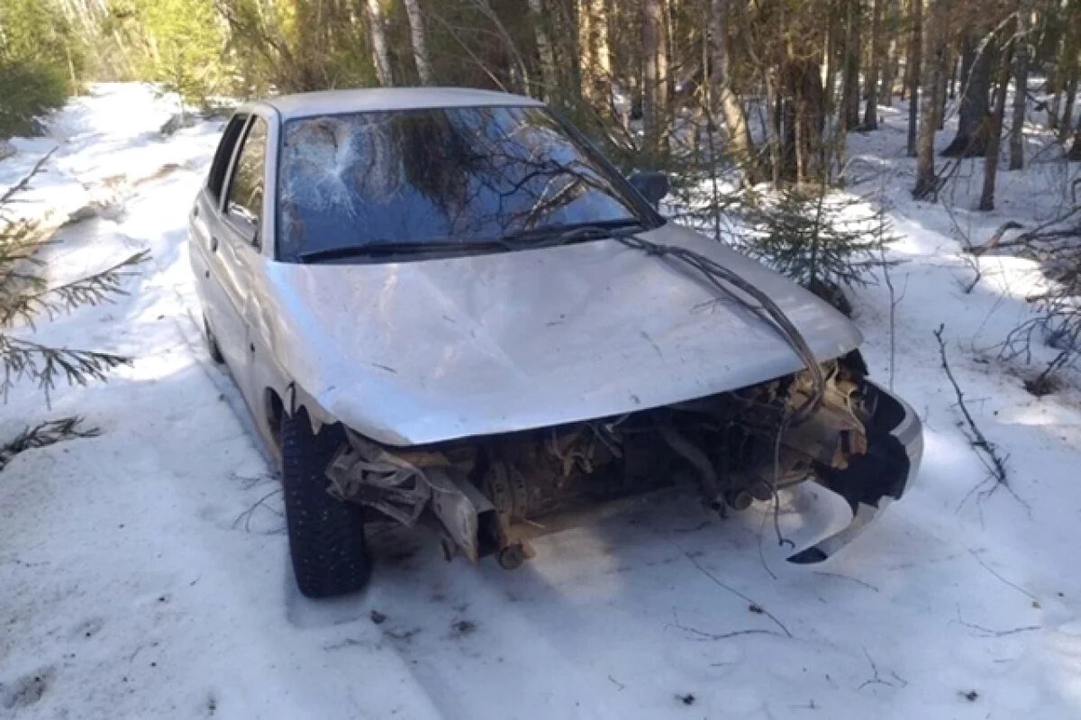    Машину, сбившую человека, нашли потом далеко в лесу со снесённым бампером: видимо, ДТП было жёстким.