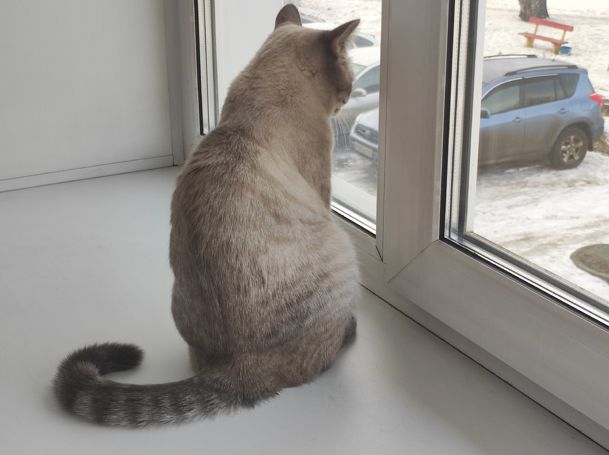 Соня любит смотреть в окно 