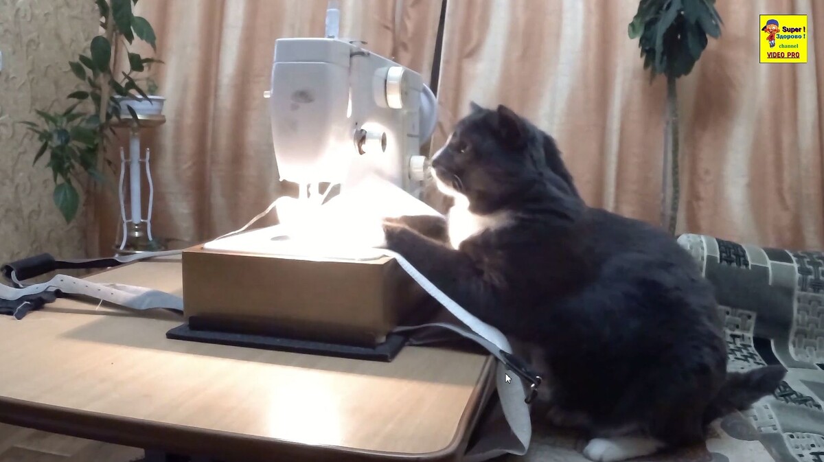 Начинающая швея