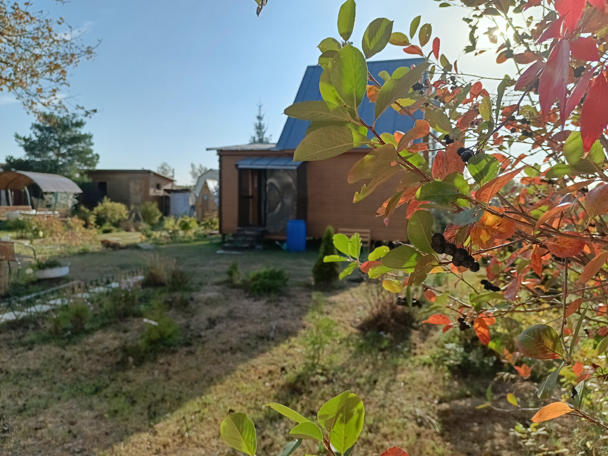 Личное фото автора