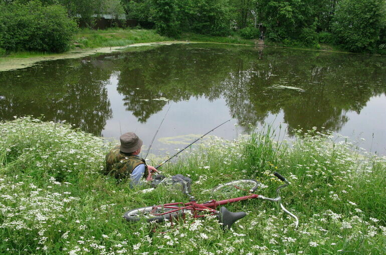   Юрий Инякин/ПГ