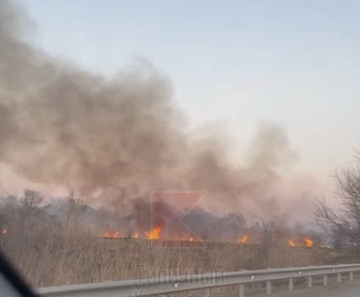    Фото: соцсети