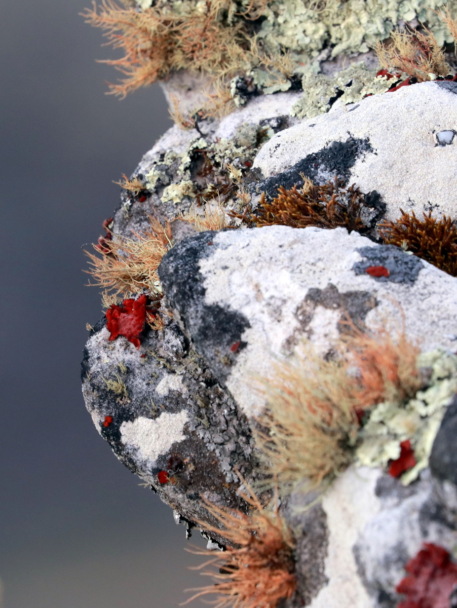 красивые каменистые выступы