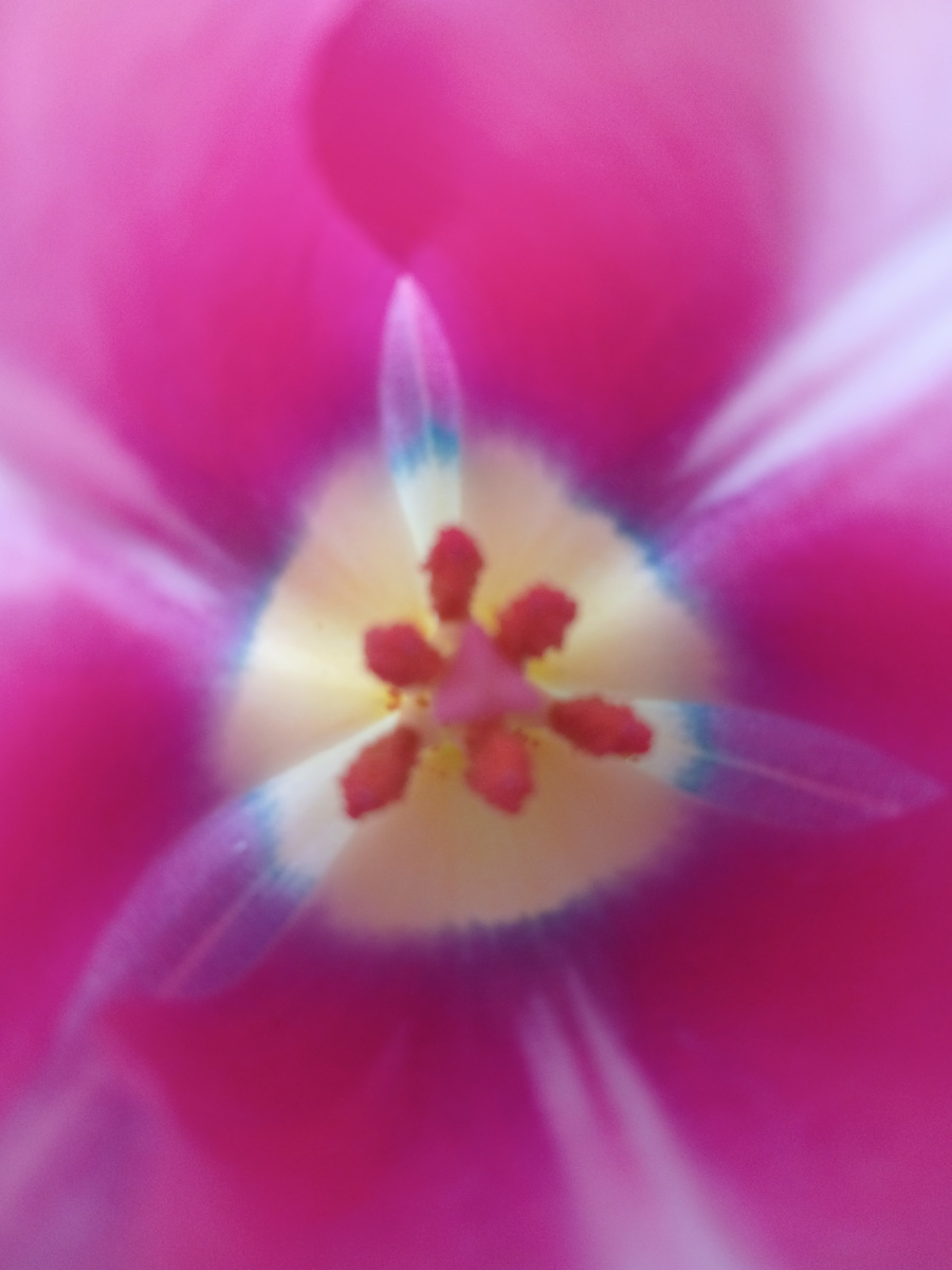 "Доброе утро, мир! Ты прекрасен!" Фото автора