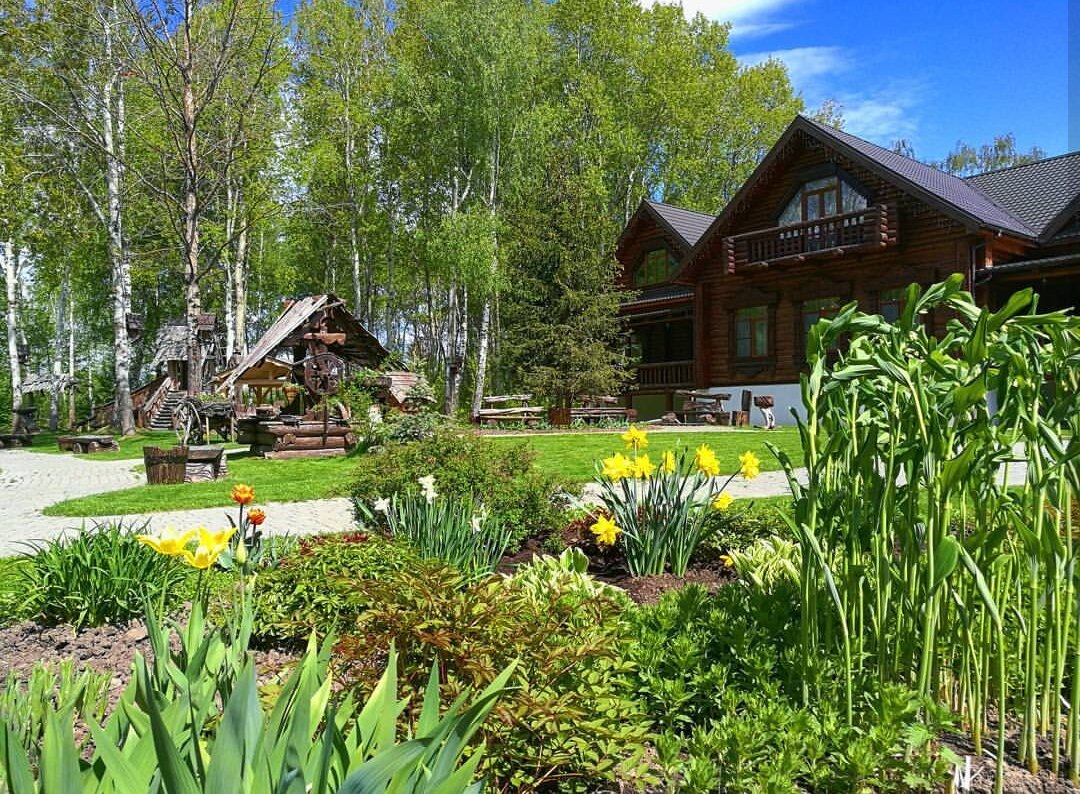 фото из интернета