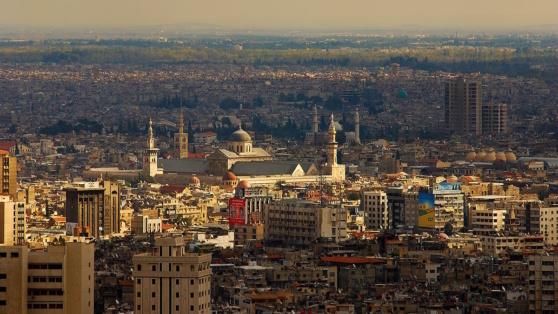    Небензя: члены Совбеза ООН едины в позиции о недопустимости насилия в Сирии ©Rosen Ivanov Iliev/Shutterstock/Fotodom