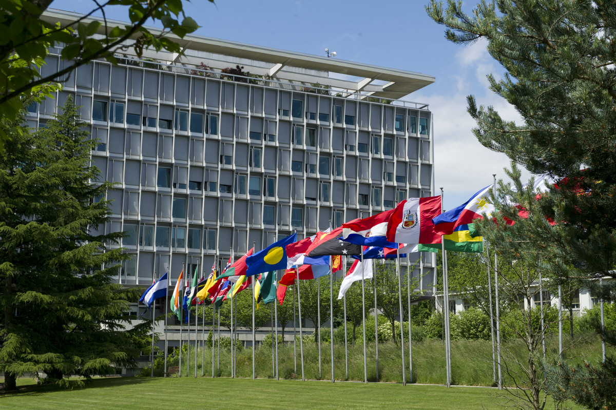 ВОЗ. https://avatars.mds.yandex.net/i?id=2ad666817d899ae43ee4cb3dd0a608d02113fed9-10089679-images-thumbs&n=13  world-heart-federation.org