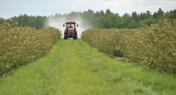    РИА «Новости»