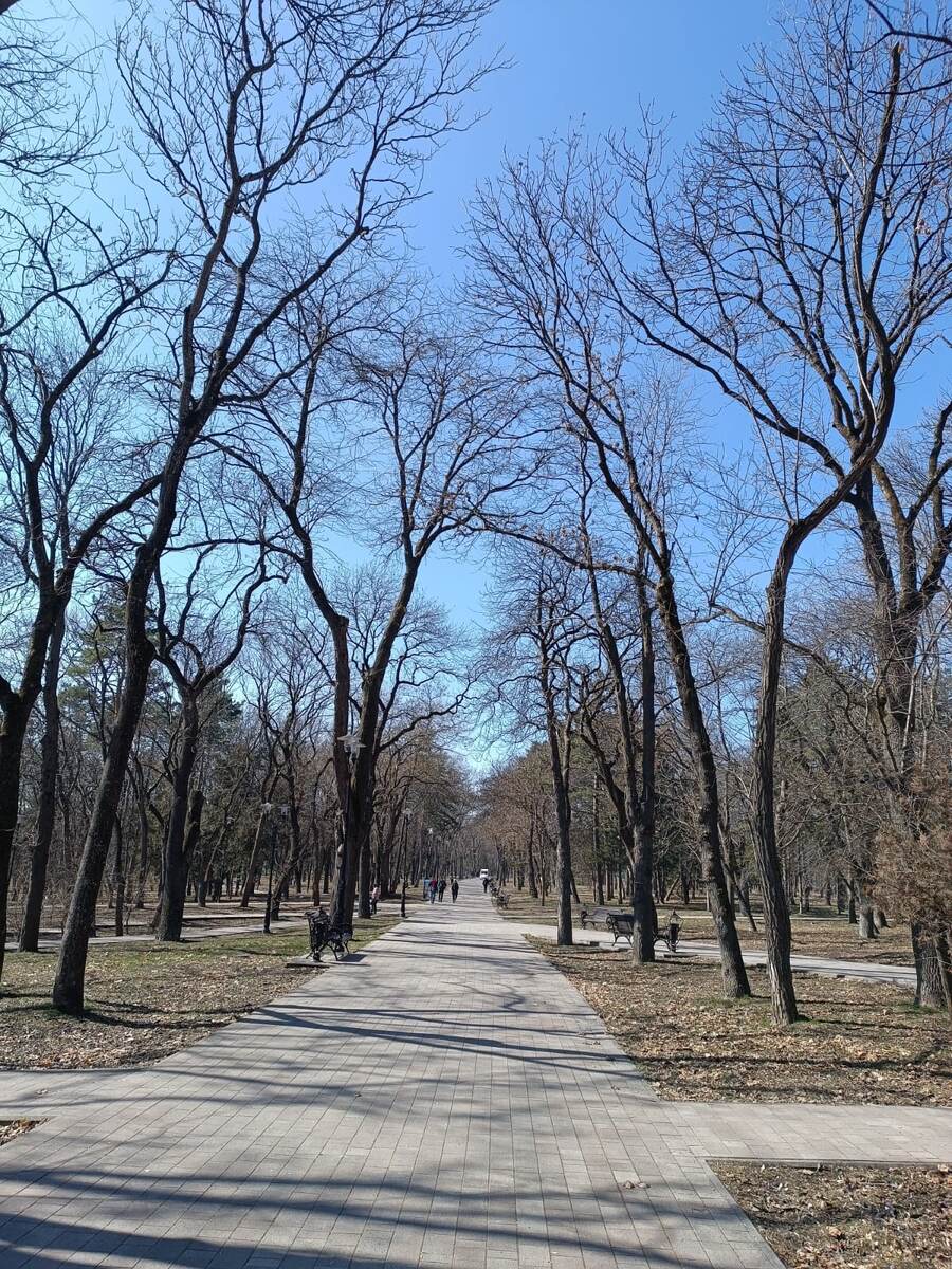 Все пока тусклое, но это не надолго.