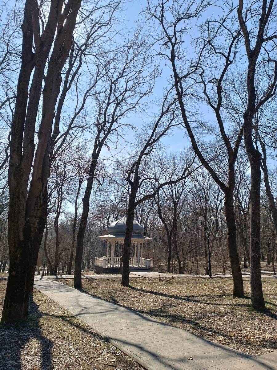 Скоро все зазеленеет.