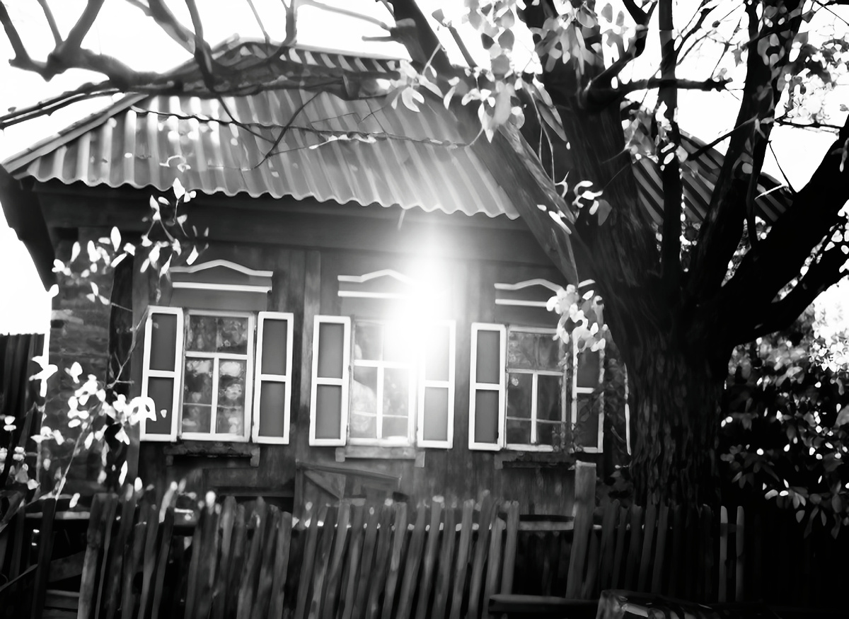 Дом, в котором жил странник Владимир (фото восстановленное)