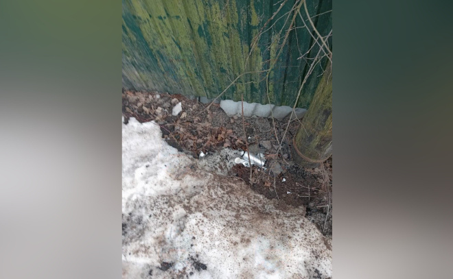    © Аварийно-спасательная служба Ленинградской области