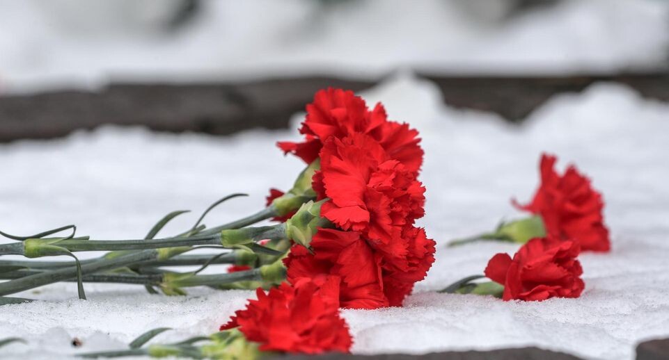    Bulkin Sergey/ news.ru / www.globallookpress.com