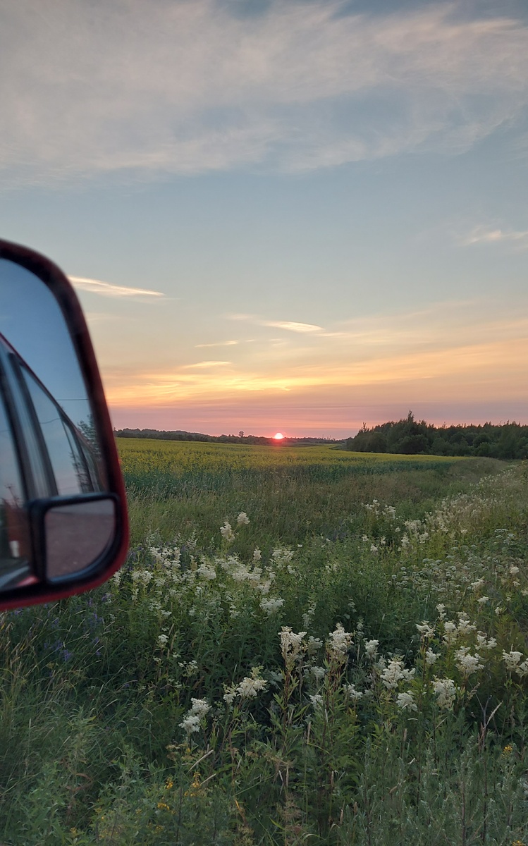 Фото сделано в июне 2024г.