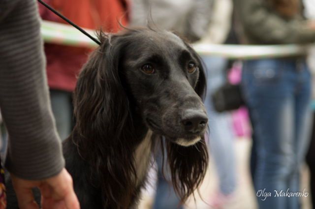 Наш главный тазы Байрам