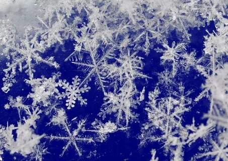 Фото из открытого источника Интернета