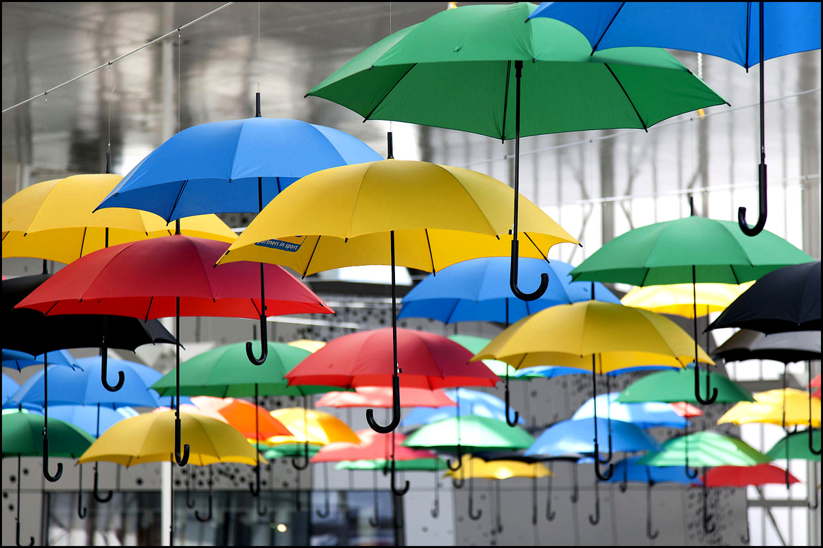 Фото из сети.