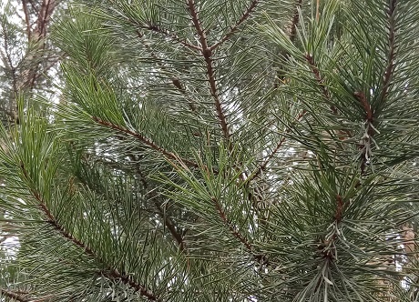 Фотография из личного архива автора