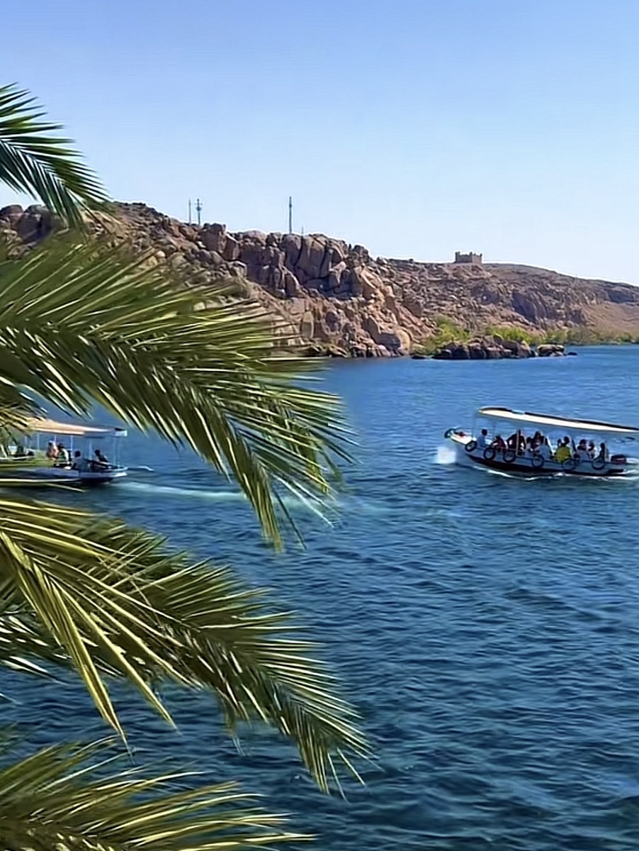 Опасности в Египте.