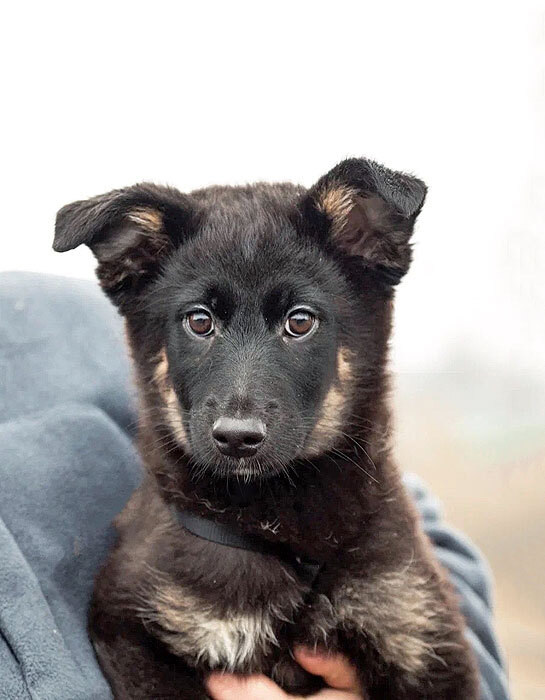 Листайте вправо, чтобы увидеть больше изображений