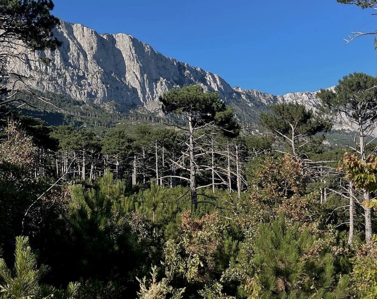    Крым 24 Александра Понамарчук