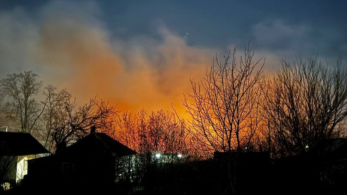    Фото: телеканал «Краснодар»