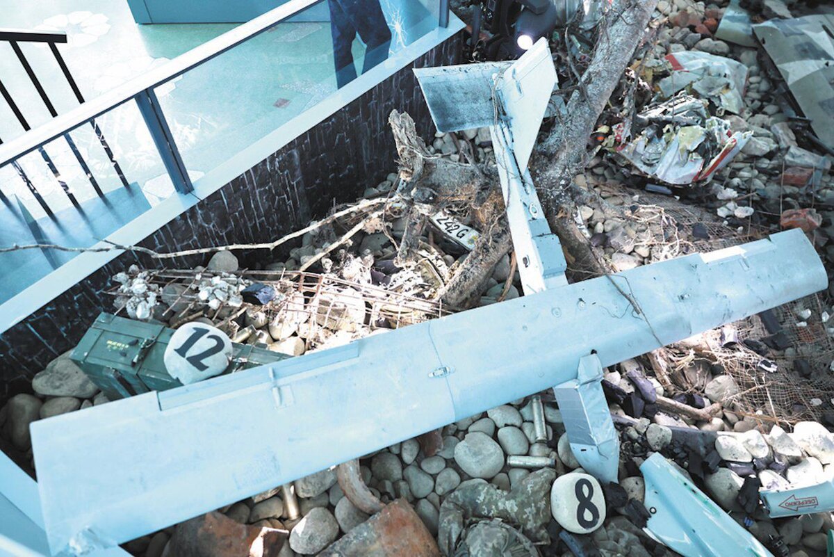 Елена Купцова
Ударно-разведывательный БПЛА самолётного типа.