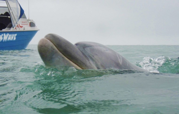    Caters News Agency Ltd/Global Look Press