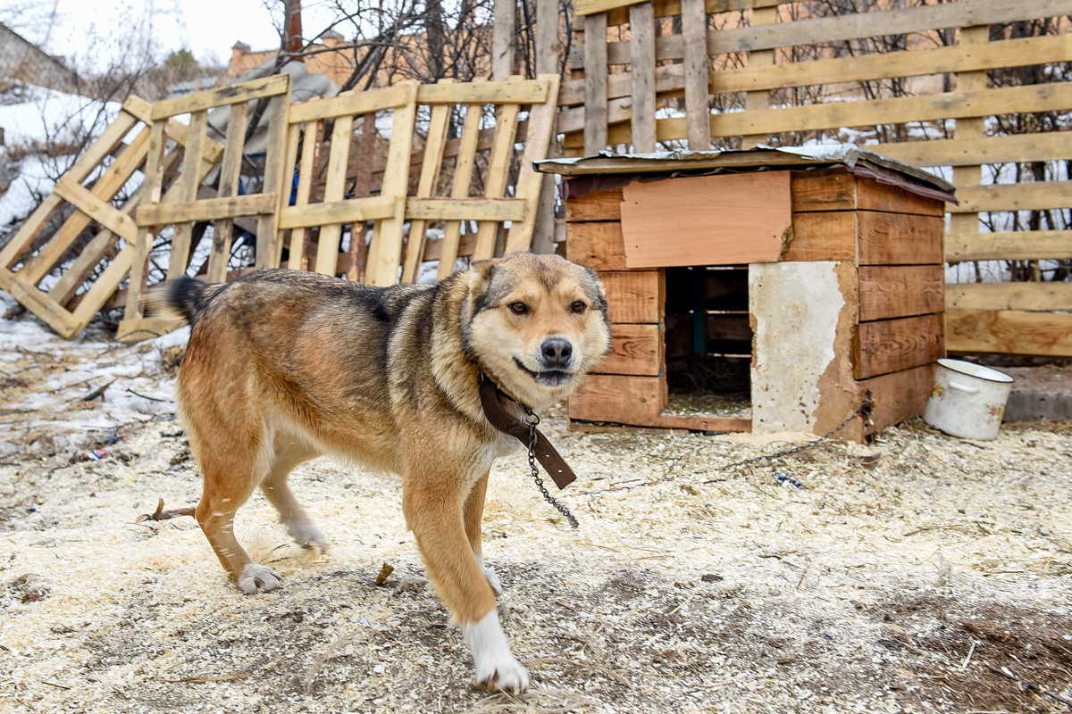 фото из яндекс картинки
