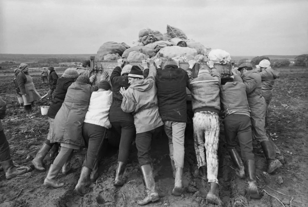 фото из яндекс картинки