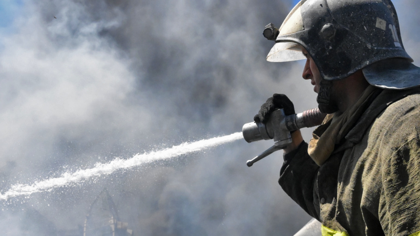    Фото: © РИА Новости/Илья Питалев