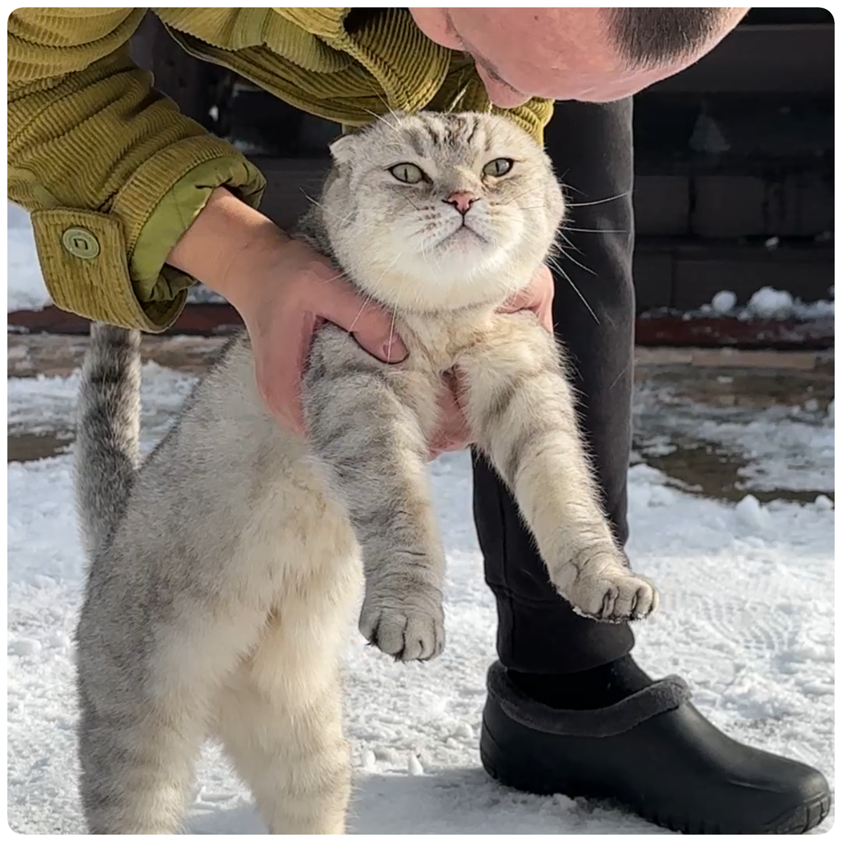 Все гормоны на лице😻