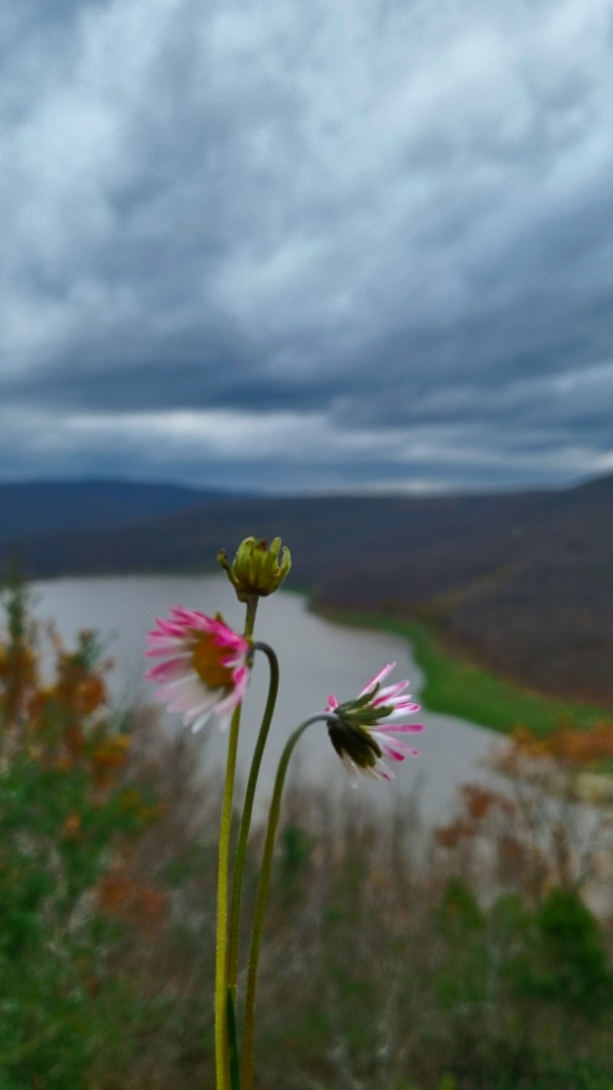 Фото Elena HrisTan. 