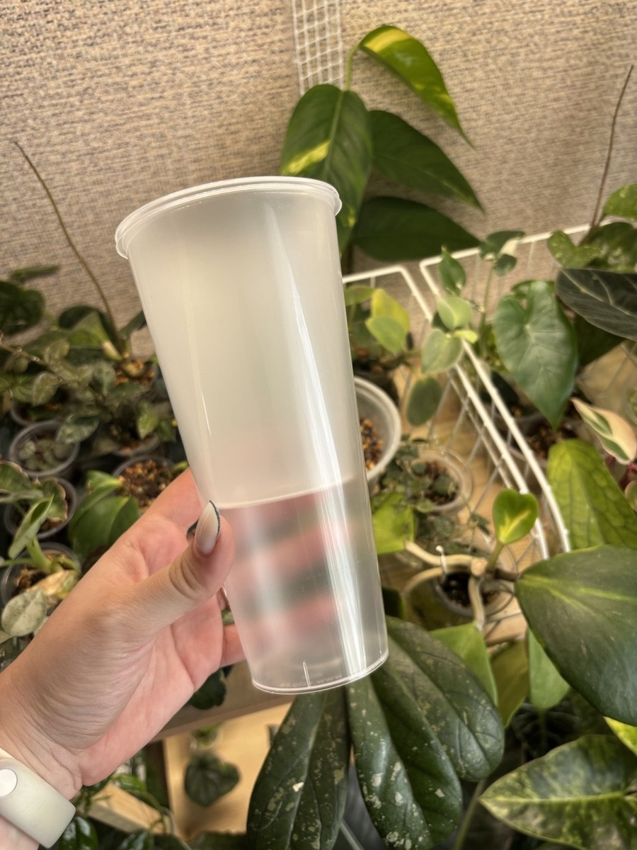 Один из примеров, как можно организовать фитильный полив.