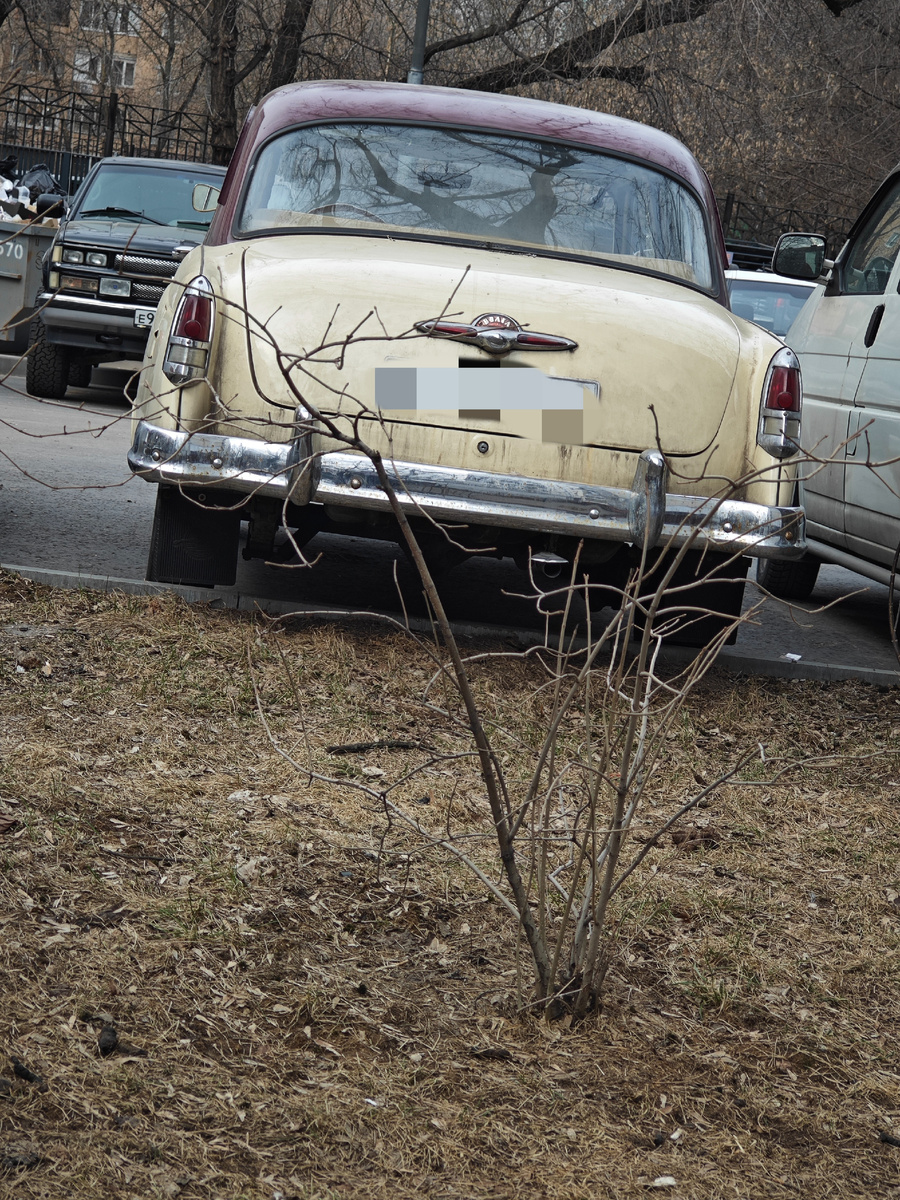 Фото автора канала 