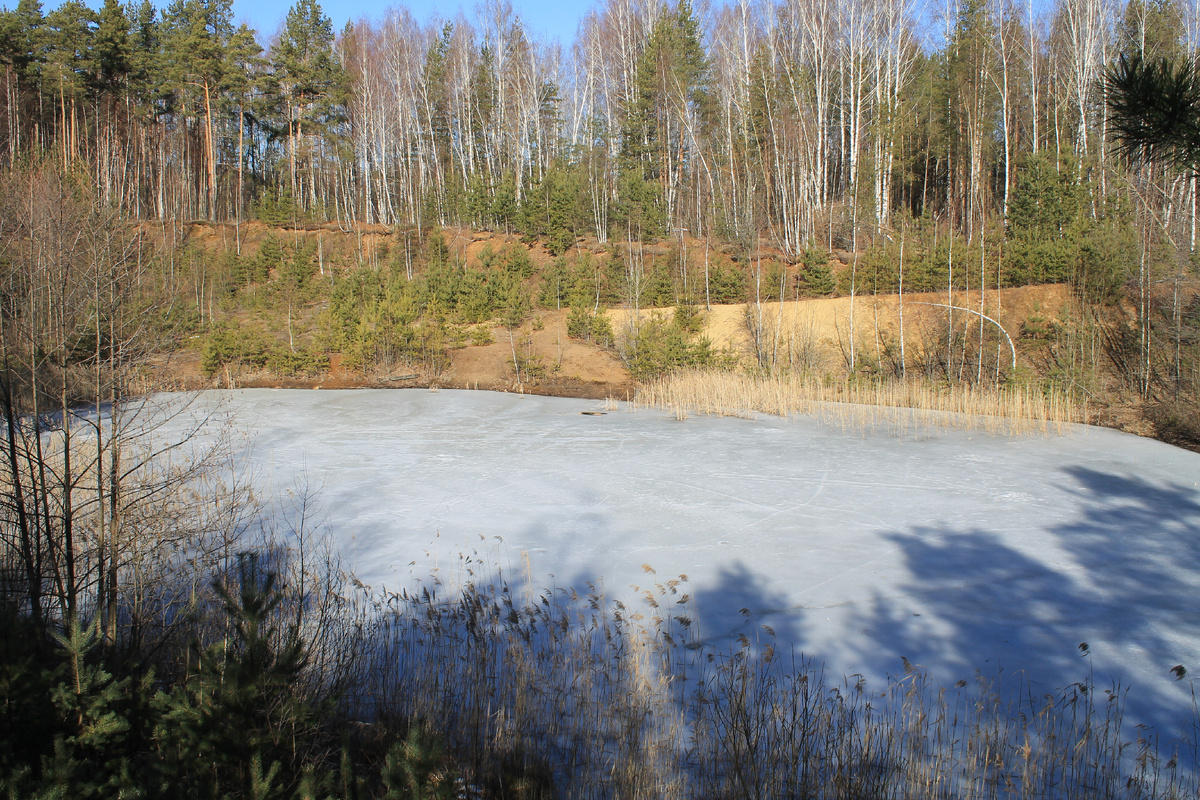 Лесное озеро.
