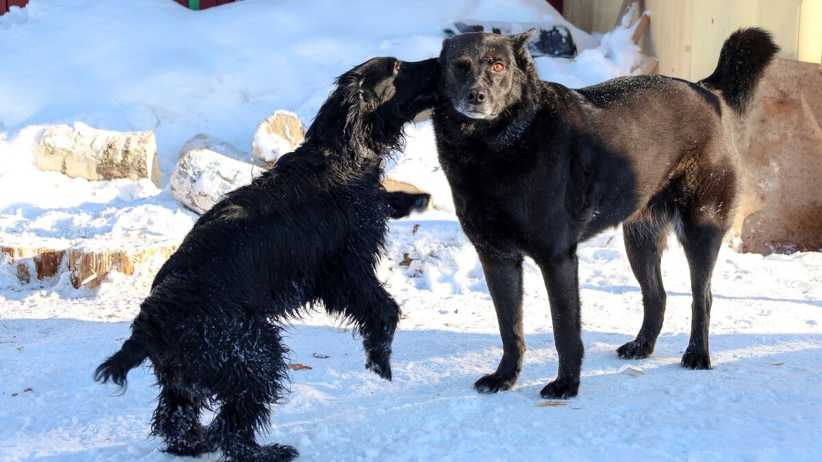    Фото: Elena Mayorova/Global Look Press