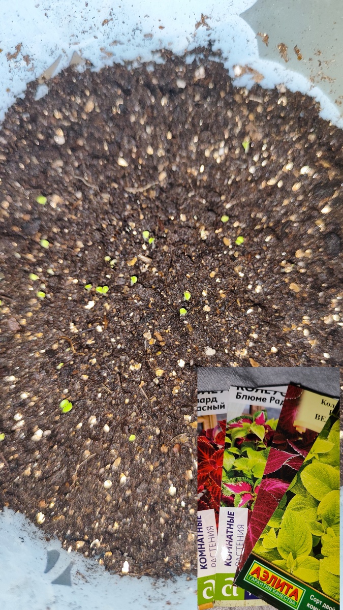 Дружить будем!!!