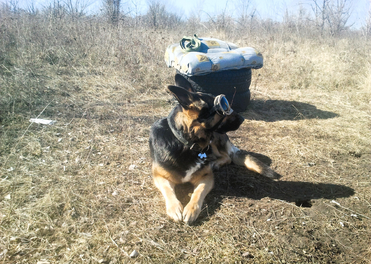 Фото автора