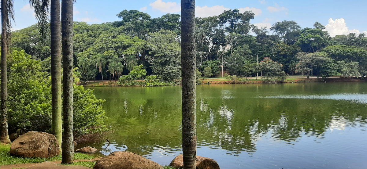 Кампинас (штат Сан-Паулу).