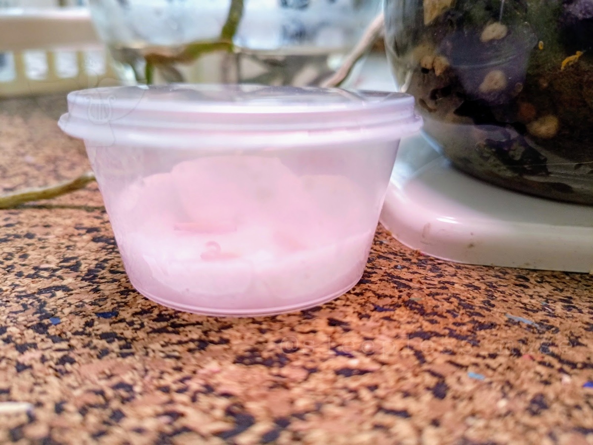 Крышку плотно закрыла