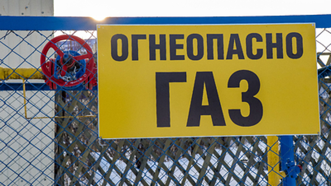    Фото: Elena Mayorova/Globallookpress