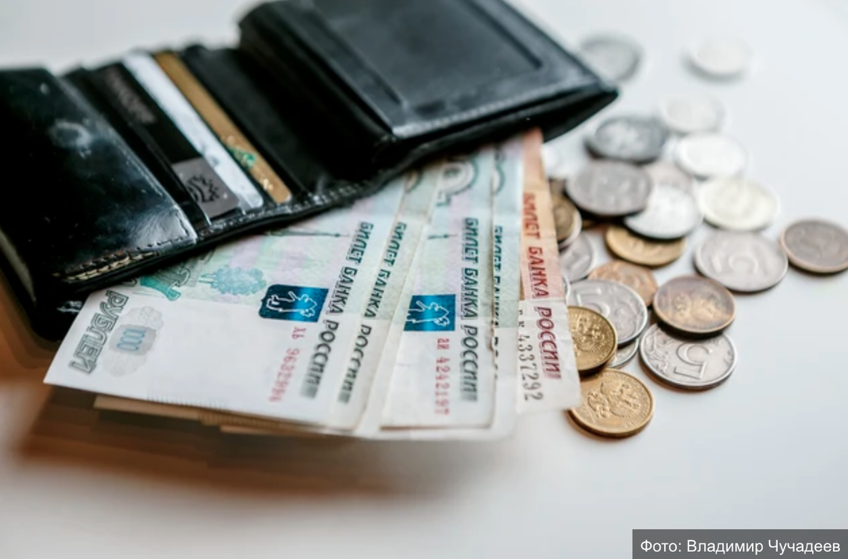 Фото Владимира Чучадеева.