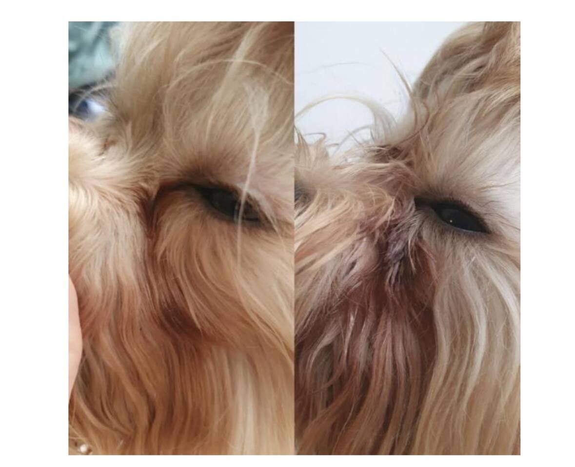 *Фото картинка из личного архива автора данной статьи 