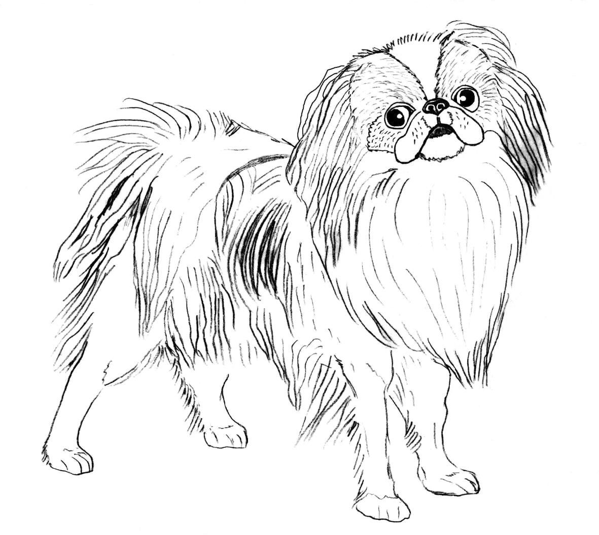 Рисунок автора