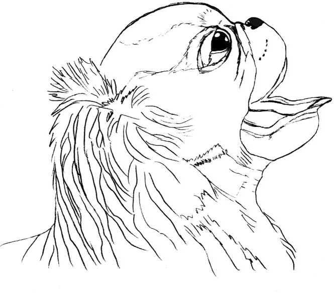 Рисунок автора