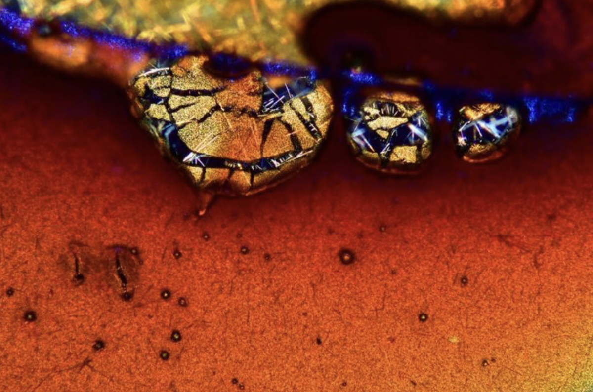   . Vin Kitayama & Sanae Kitayama.